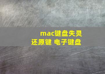 mac键盘失灵还原键 电子键盘